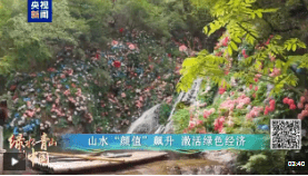 加载失败