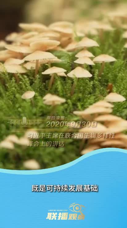 加载失败