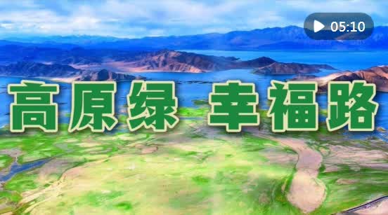 加载失败