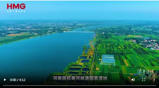 加载失败