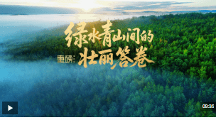 加载失败
