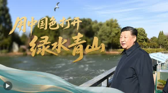 加载失败