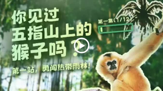 加载失败