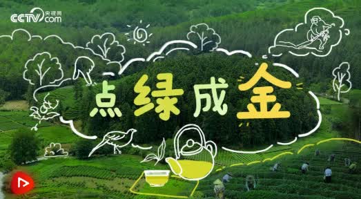 加载失败