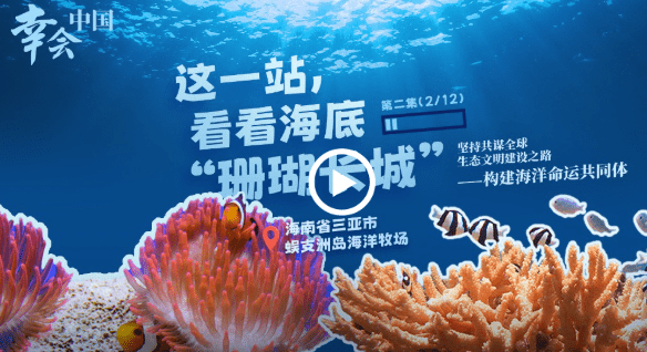 加载失败