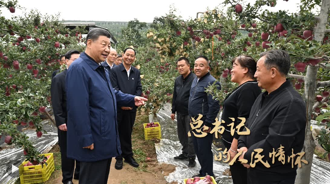 加载失败