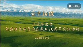 加载失败