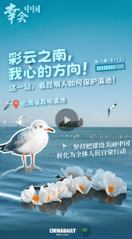 加载失败