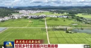 加载失败
