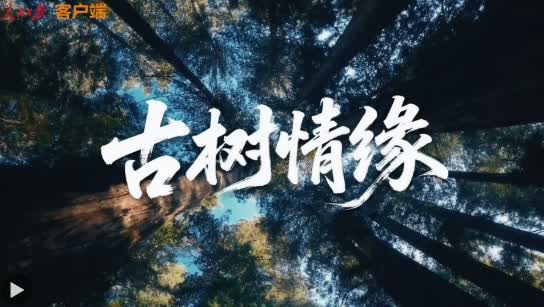 加载失败