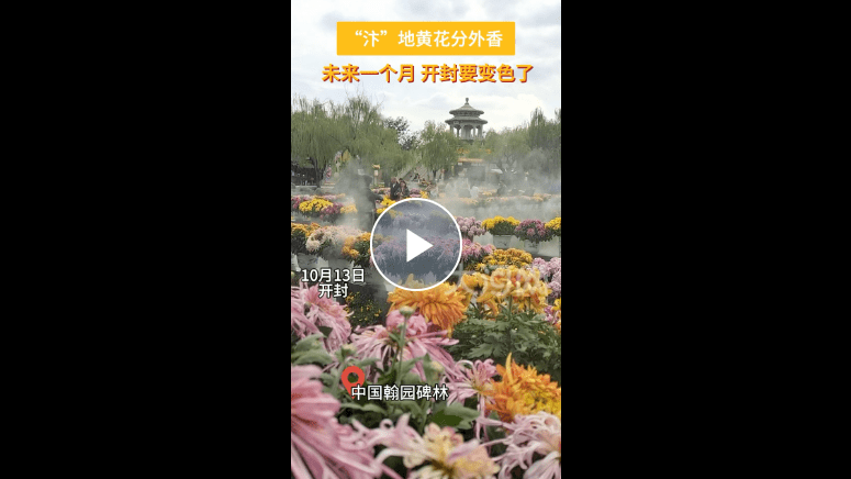 加载失败