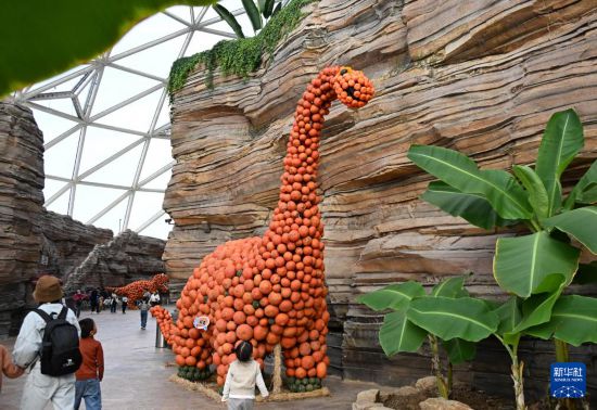 游客从一处“南瓜恐龙”旁经过（10月18日摄）。