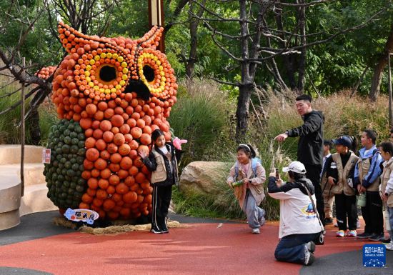 参加研学的小朋友在排队与“南瓜猫头鹰”合影（10月18日摄）。