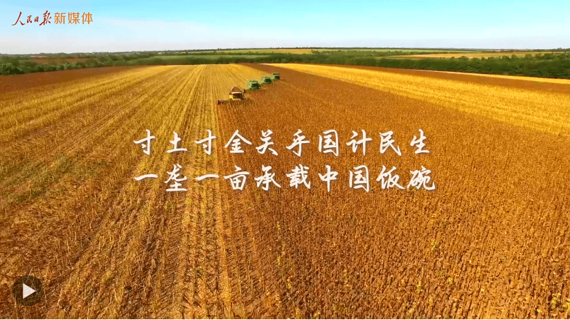 加载失败