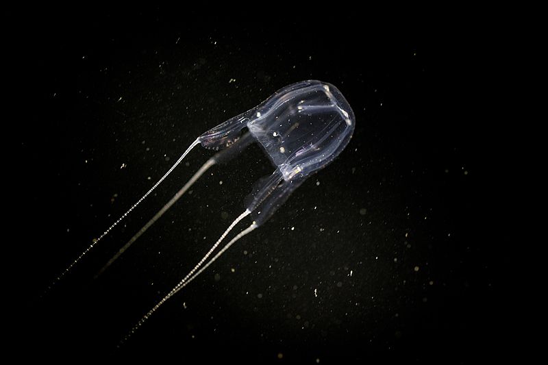 MAIN17887396739561KWBMXURZB_2ee41bce603b4296b3c03c88f3a55b0d.jpg